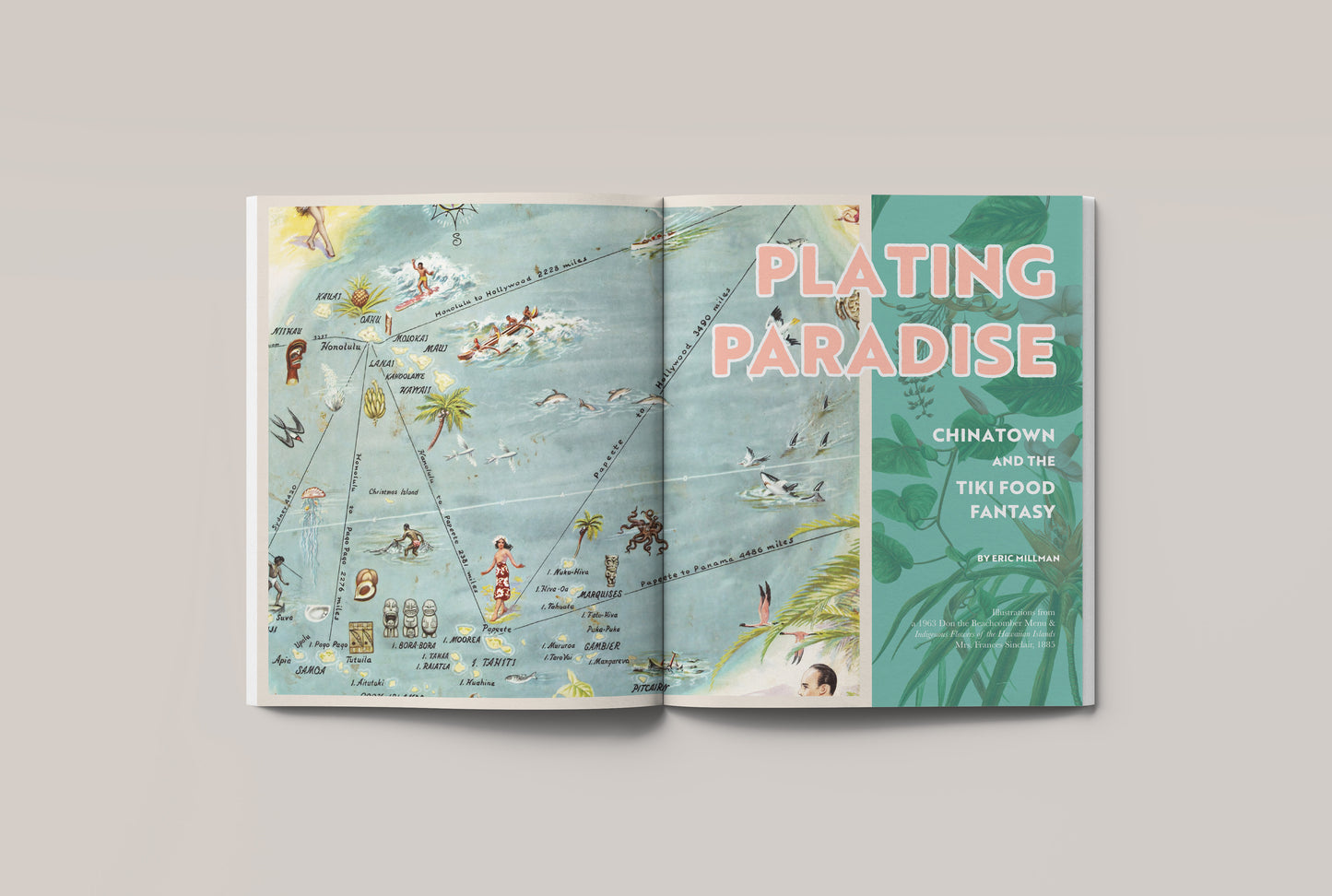 No. 11: The Tropics