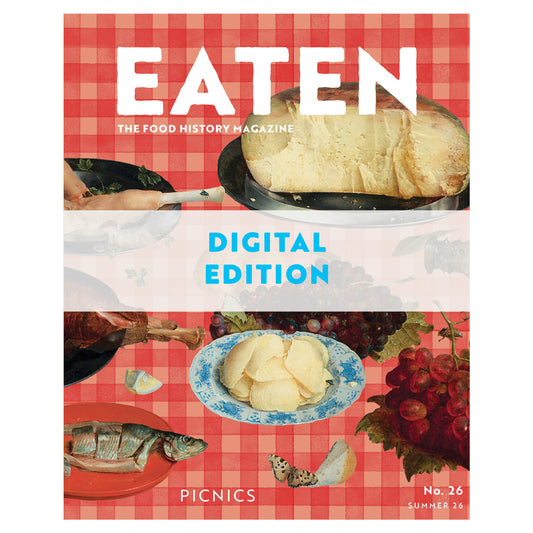 DIGITAL EDITION: No. 26 - Picnics