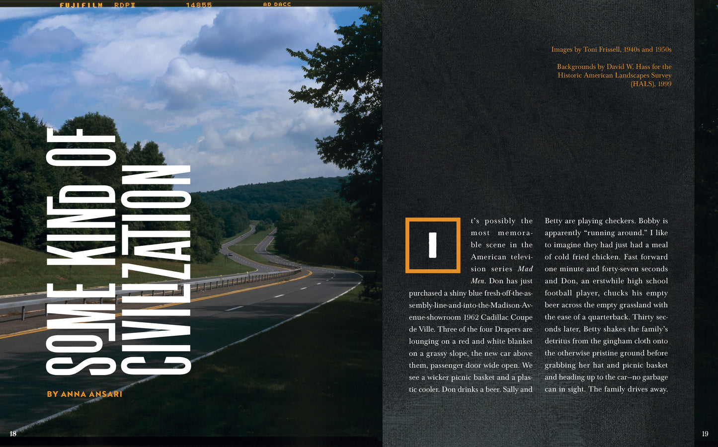 DIGITAL EDITION: No. 26 - Picnics